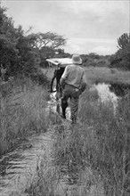 afrique, ouganda, un surveillant dans la section où sera construit le chemin de fer reliant katonga et la rivière nabakazi, 1950