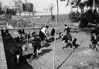 europa, italia, torino, colonia permanente 3 gennaio, lavori agricoli, 1930