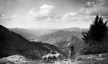 europa, italia, piemonte, pastori in val tanaro vista da sud verso nord, 1910 1920