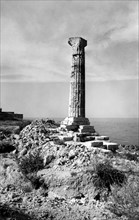 europe, italie, calabre, colonne de hera lacinia, 1957
