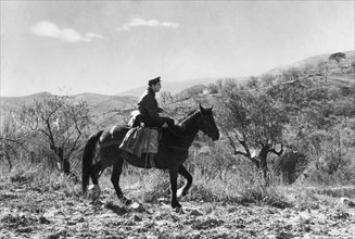 europa, italia, calabria, oriolo, portalettere a cavallo, 1961