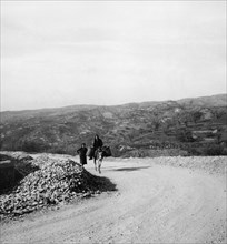 europe, italie, calabre, bisignano acli, femmes avec mule sur la nouvelle route nationale 19, 1954
