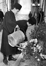 europe, italie, calabre, san basile, séminaristes du couvent, 1955