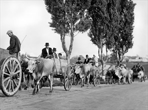 agriculteurs se déplaçant près de vibo valentia, calabre, italie, 1955
