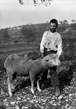 europa, italia, abruzzo, gruppo di contadini mietitori, 1910 1920