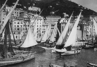 harbour, camogli, liguria, italy 1920 1930