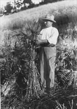 agriculteur, molise, Italie 1920 1930