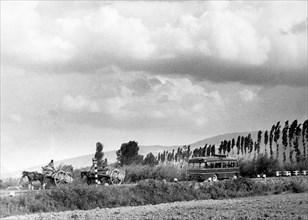 countryside, molise, 1959