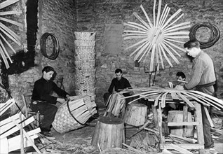 fabrique de paniers, Toscane, Italie, 1956