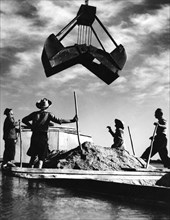 rivière po, travailleurs, cremona, lombardia, italie, 1956