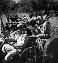 medio oriente, israele, armata israelita, 1950 1960