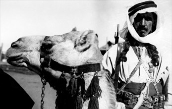 africa, libia, meharista druso, 1941