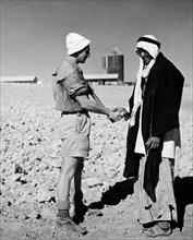 Moyen-Orient, Israël, désert du Néguev, 1950 1960