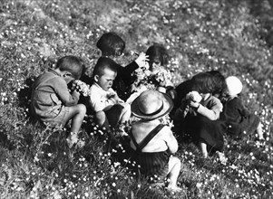 cremona, enfants cueillant des fleurs, 1953