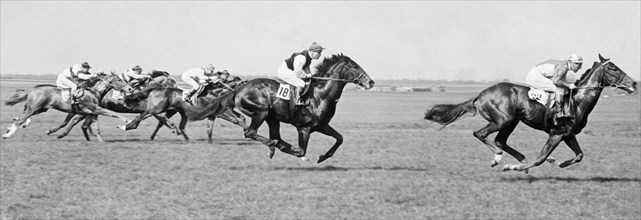 course de chevaux en angleterre, 1954