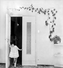 meubles, plantes, philodendron scandens, petite fille, 1959