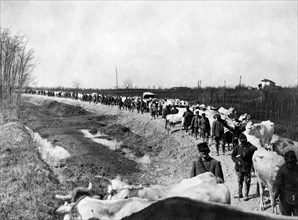 approvisionnement, première guerre mondiale, 1915-18