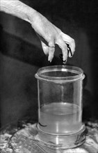 italie, main avec des suceurs de sang et un pot de suceurs de sang, 1910