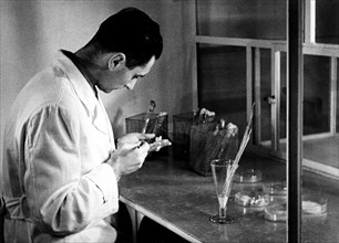 culture de vers à soie en laboratoire, 1930