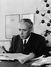 portrait de giulio natta, lauréat du prix nobel de chimie, 1964