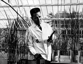 technicien nucléaire avec le compteur Geiser, 1955