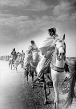 cavaliers du désert marchant sur des chameaux, 1939 1945