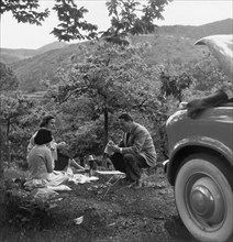 petit-déjeuner en plein air, 1956