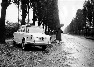 dérapage au bord d'une avenue bordée d'arbres, 1962