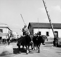 passage à niveau sur la ligne olbia-sassari, 1962