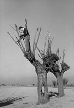 photographe ezio quiresi, 1958