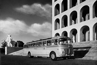 bus ciat, rome, 1954