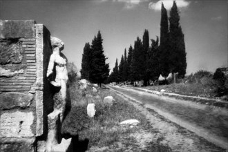 Rome. statues on the ancient appia. 1930