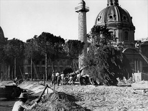 Rome. pine transplant in via dell'impero. 1930