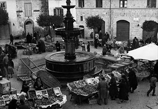 Italy. lazio. viterbo. piazza del gesù. 1950
