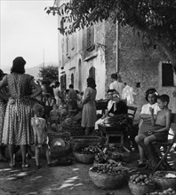 Italy. Lazio. market at the island of Ponza. 1950