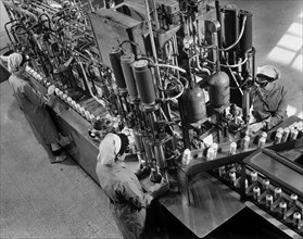 Italy. Lazio. loading line for insecticide cans. 1970