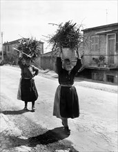 Italy. Lazio. women of Paliano with fagots on their heads. 1965
