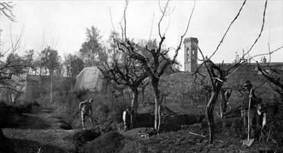 Italy. Tuscany. farmers at work. 1910