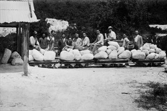 Italy. Tuscany. Castellina Marittima. workers in front of the alabaster warehouse. 1920