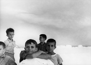 Children. ponza. lazio. 1960