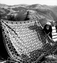 Italy. Calabria. San Giovanni in Fiore. a woman embroidering a blanket. 1950