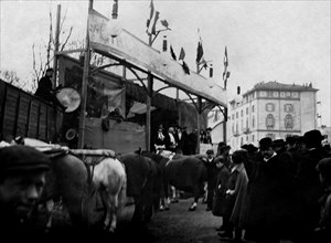 Expo 1906. Milan. Equestrian Circus At The Fair
