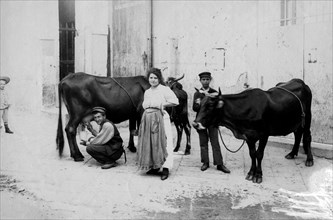 Italy. Campania. Napoli. Milk Street Vendor. 1900-1910