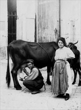 Italy. Campania. Napoli. Milk Street Vendor. 1900-1910