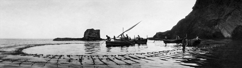 Fishing Mullets. Procida 1910-20