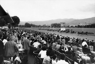 Sesana Racecourse. Montecatini Terme. Tuscany. Italy 1969