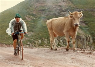 Italy. Man On Bicyle And Cow. 1974.