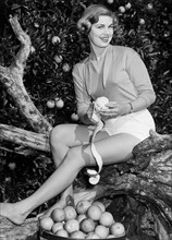 Young Woman Peeling An Orange. 1955