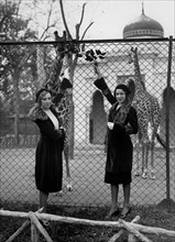 Italy. Rome. Models At The Giraffe Enclosure At The Zoo. 1920-30