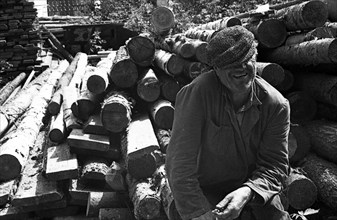 Carpenter sitting on logs.
